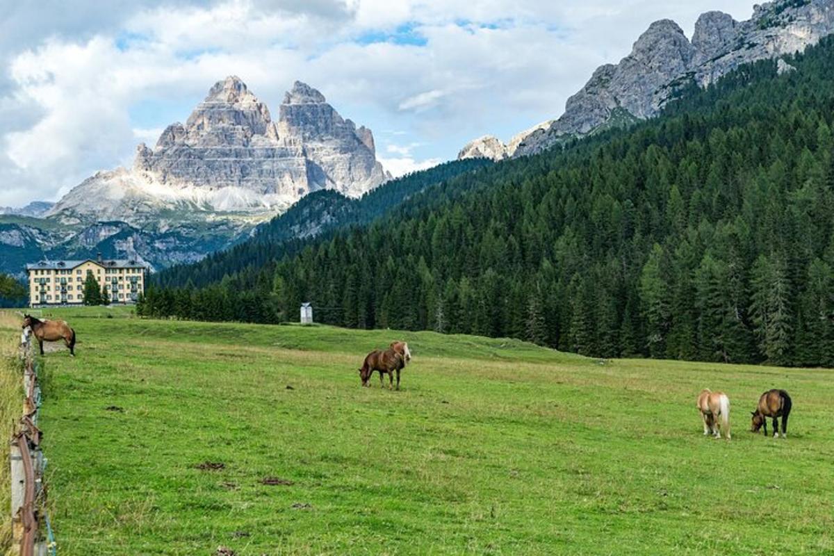 Foto dell’attrazione numero 7