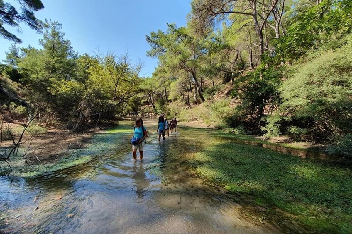 un gruppo di persone che camminano lungo una strada sterrata