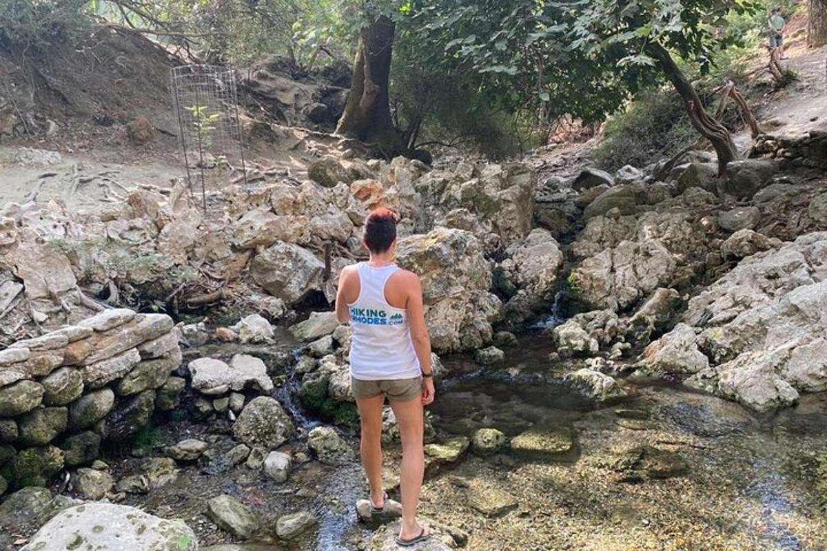 una donna in piedi in un flusso di rocce