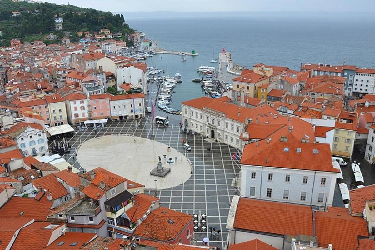 an aerial view of a city with red roofs