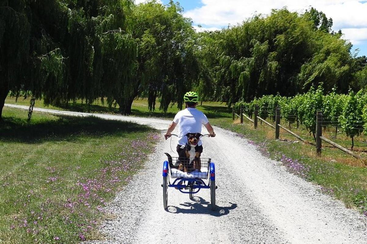 a person riding a bike down a dirt road