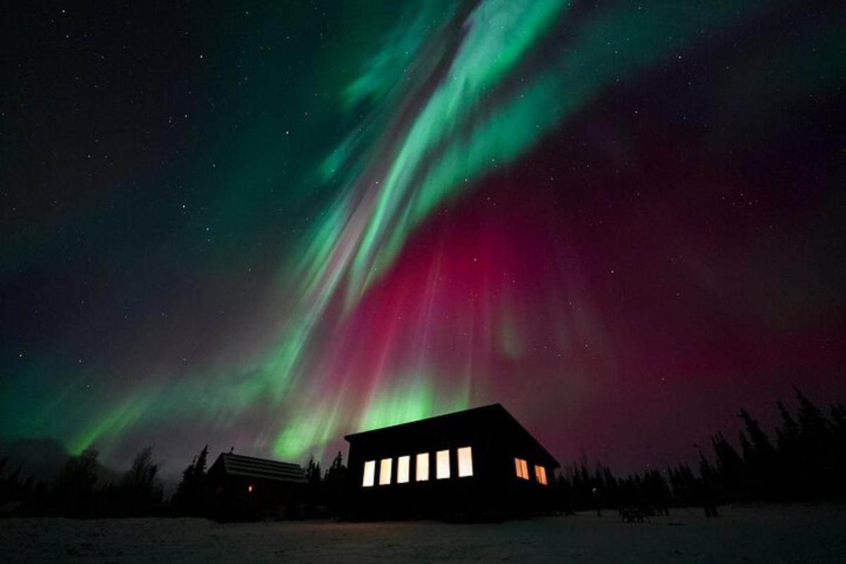 kofi með norðurljósum á himni