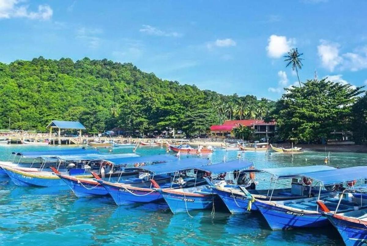un grupo de barcos estacionados en el agua