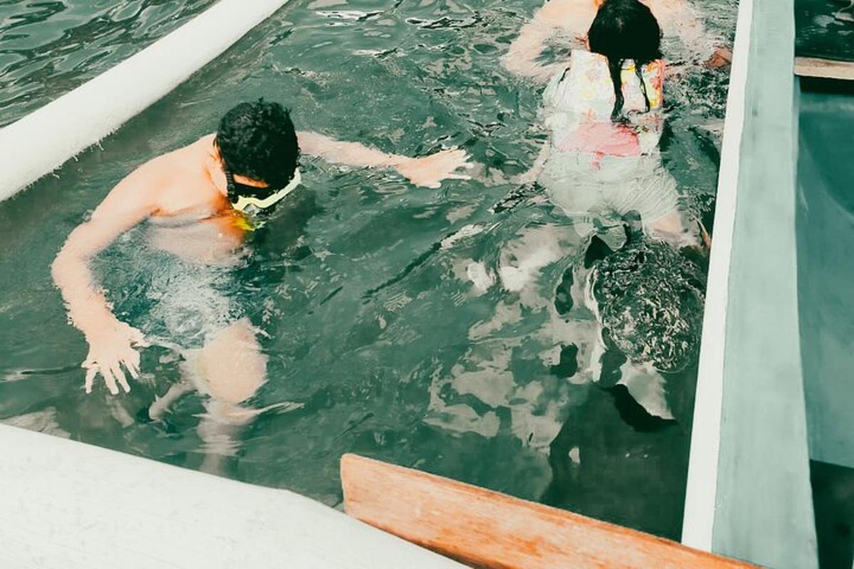 a group of people in a swimming pool
