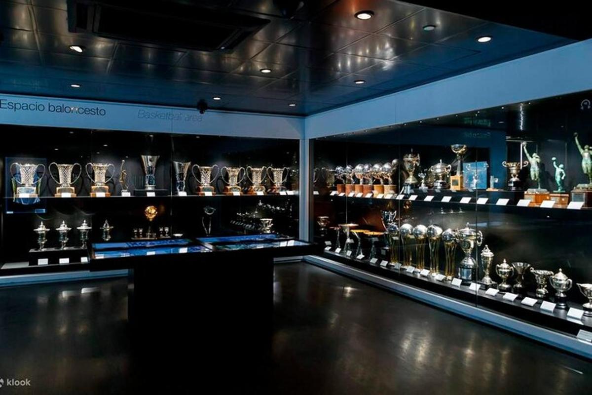 a display case in a store with a lot of shoes