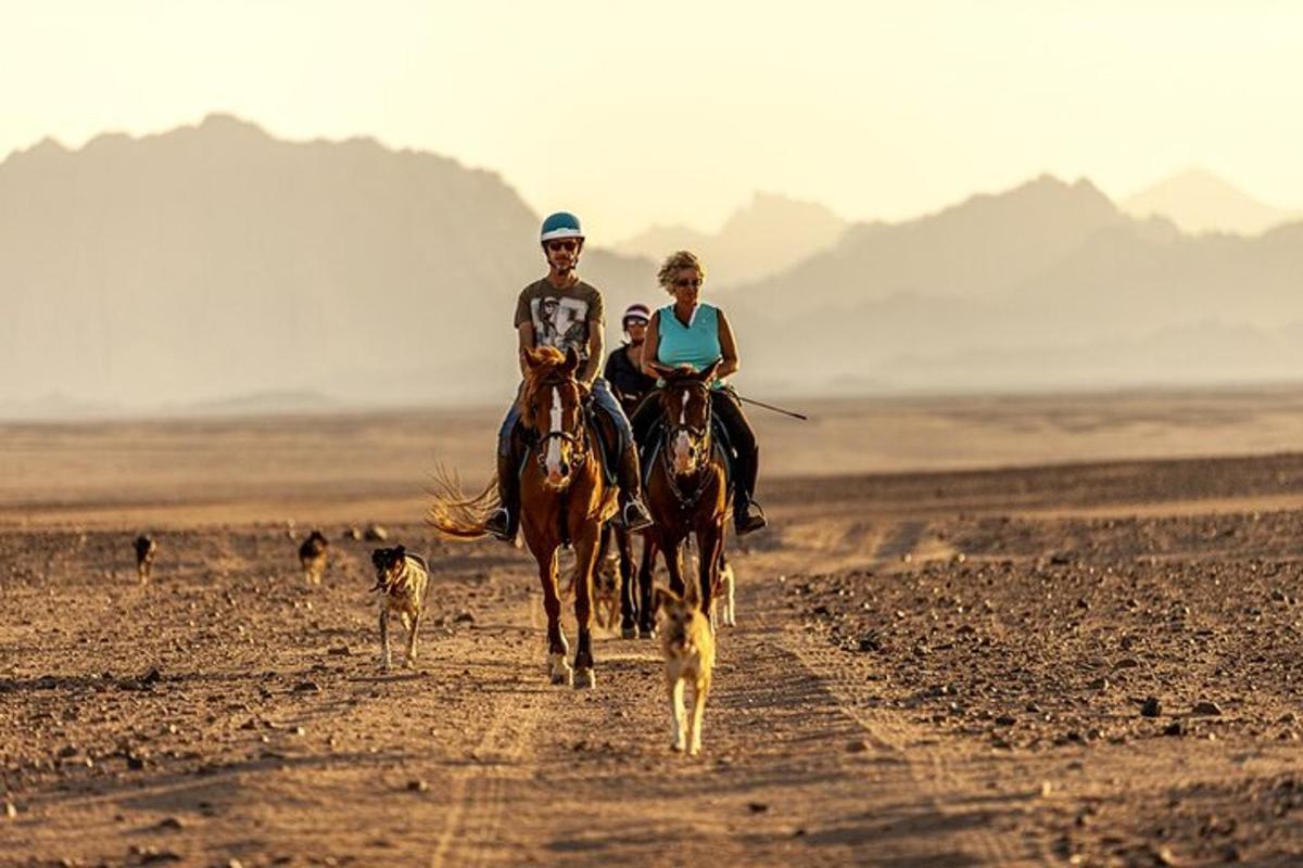 deux personnes à cheval dans le désert avec un chien