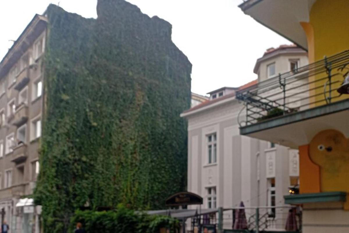 a ivy covered building in a city with buildings