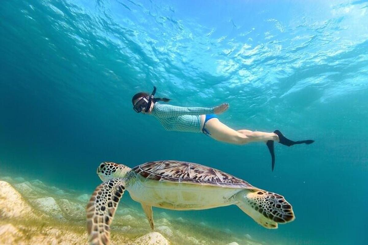 eine Person, die neben einer Schildkröte im Meer schwimmt