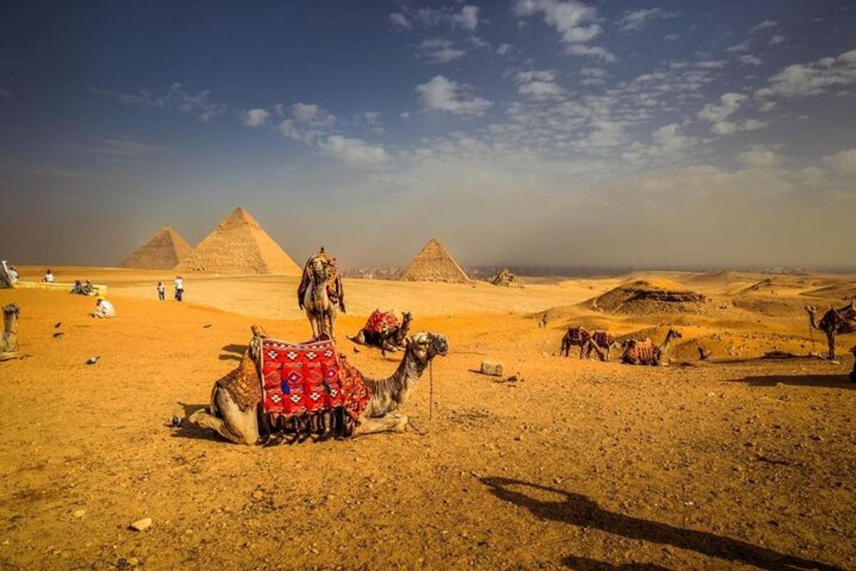 un cammello seduto nel deserto con le piramidi sullo sfondo