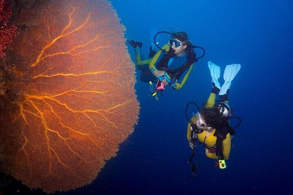 duas pessoas nadando no oceano ao lado de um coral