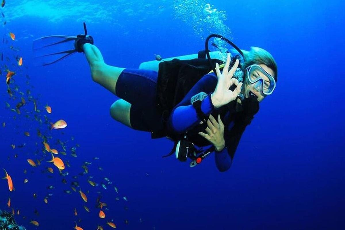 seorang wanita sedang berenang di air biru