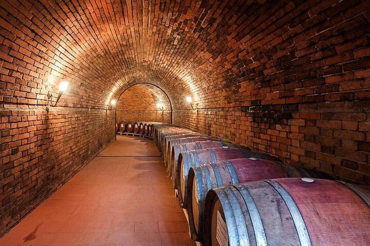 una fila di botti di vino in un tunnel di mattoni