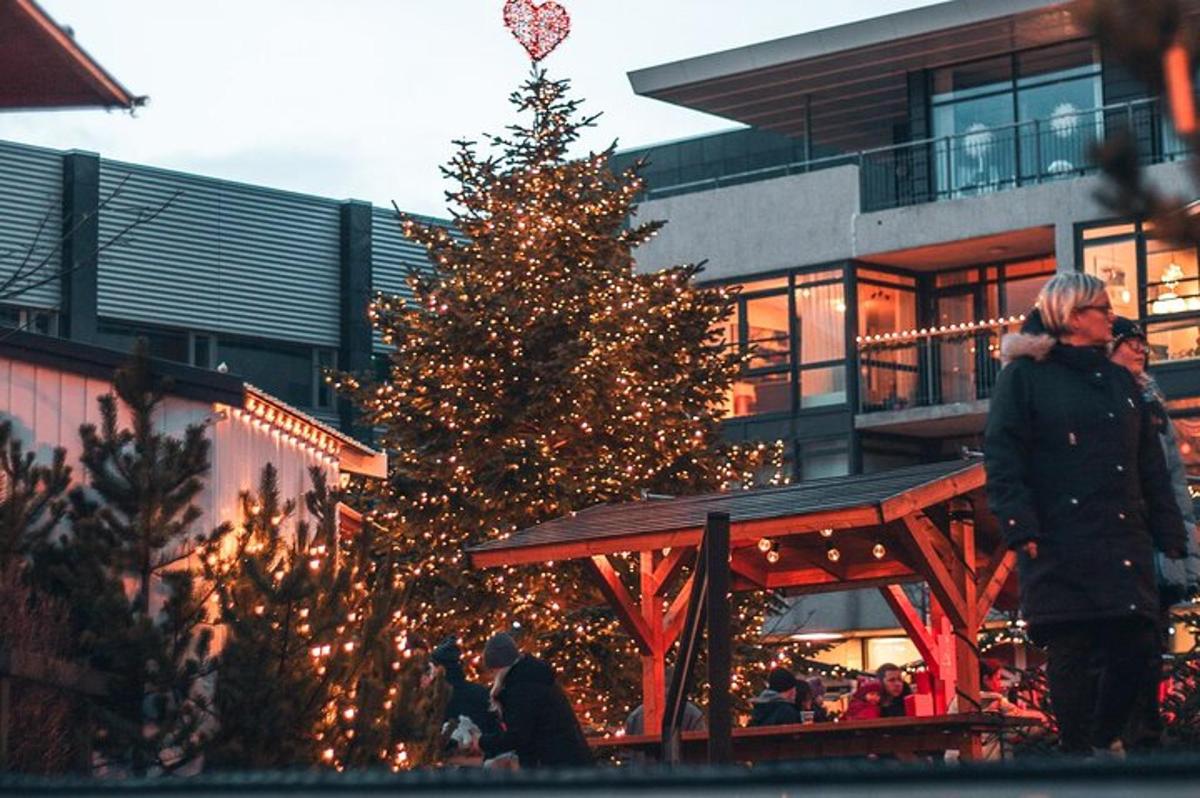 un arbre de Nadal davant d'un edifici