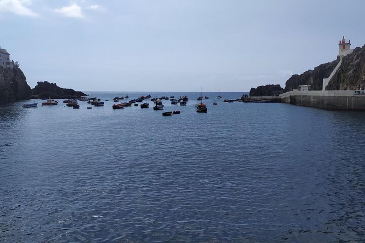isang grupo ng mga bangka sa isang anyong tubig