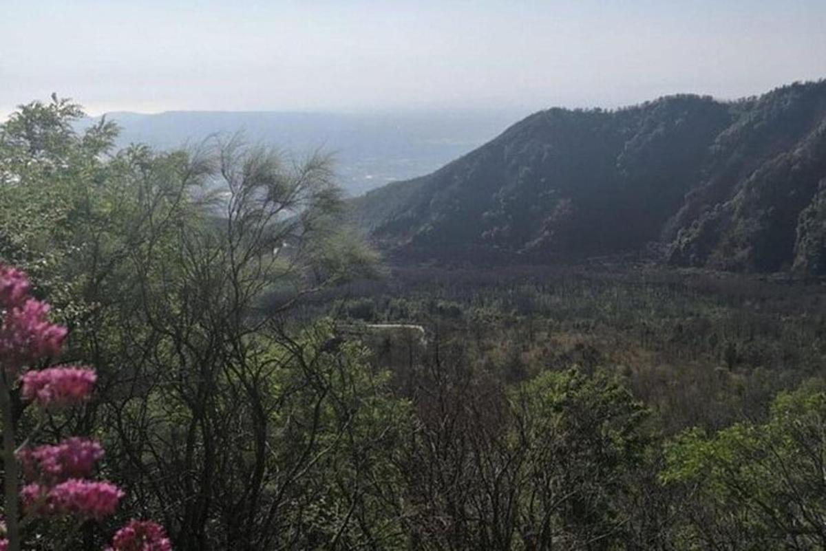 pohled na údolí s horami a růžovými květy