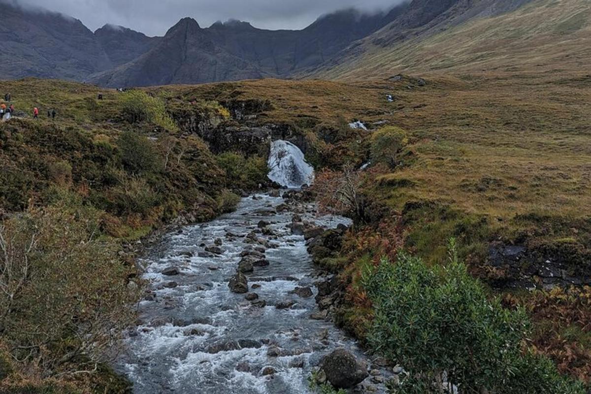 un fiume in mezzo a un campo con una cascata