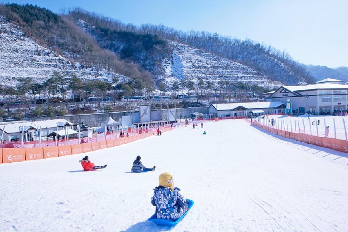 uma criança descendo uma encosta coberta de neve com uma prancha de snowboard