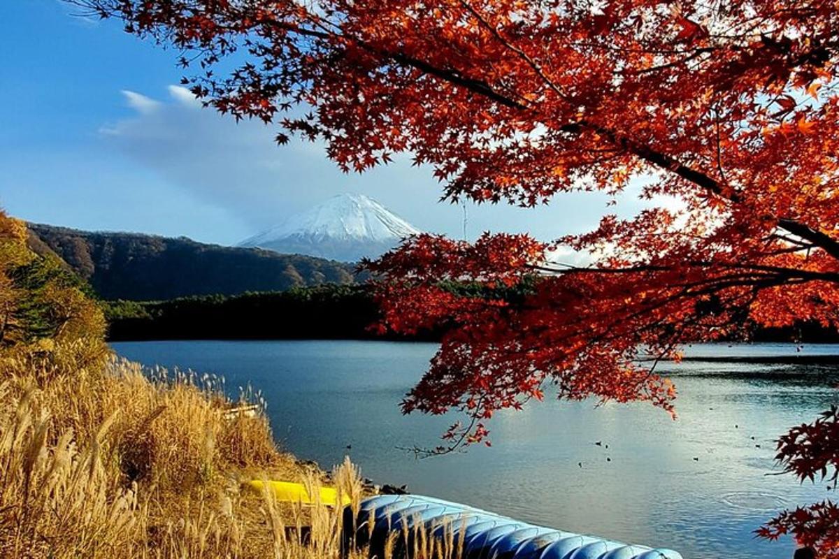 una muntanya al fons amb un llac i arbres