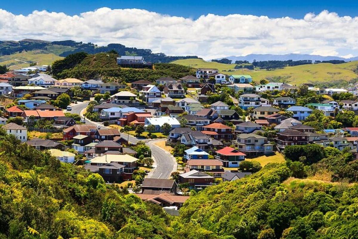 a small town on a hill with houses