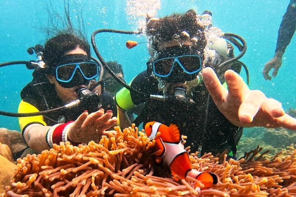 海でサンゴ礁を眺める二人