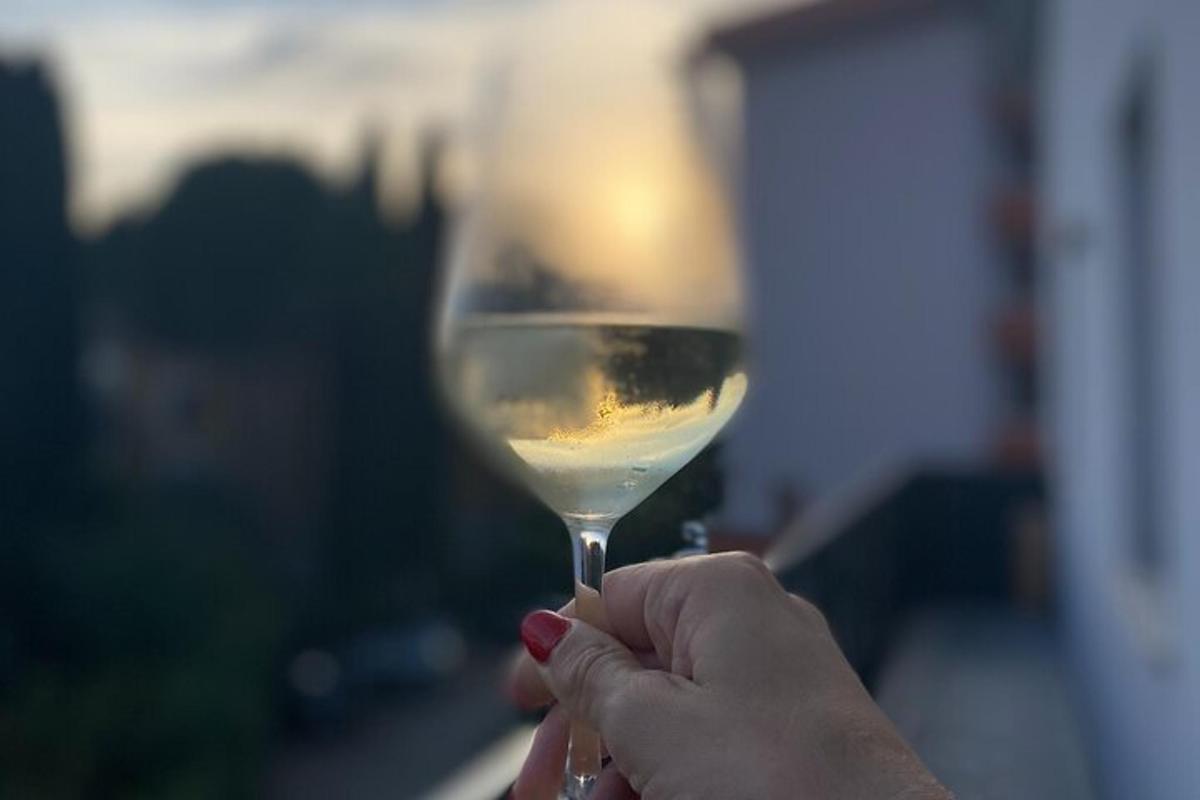 osoba koja drži čašu bijelog vina