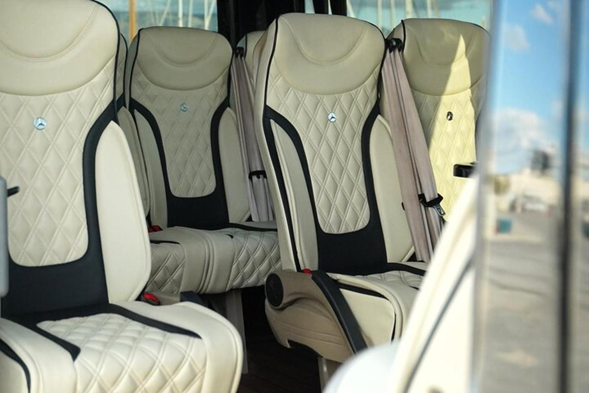 un grupo de asientos traseros de un coche