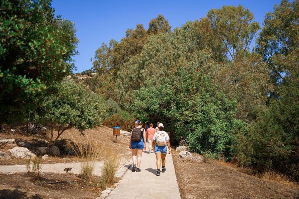 Τρία άτομα περπατούν σε ένα μονοπάτι σε ένα πάρκο