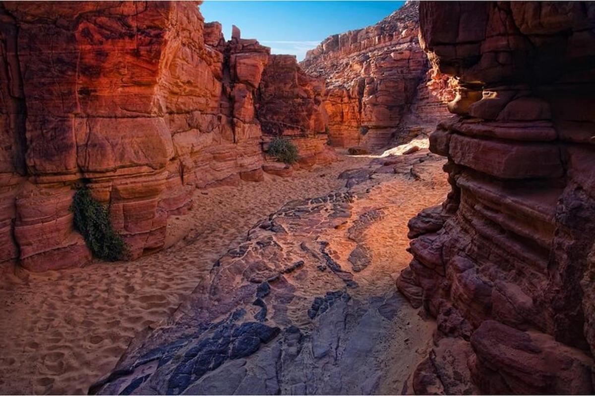 una vista di un canyon nel deserto