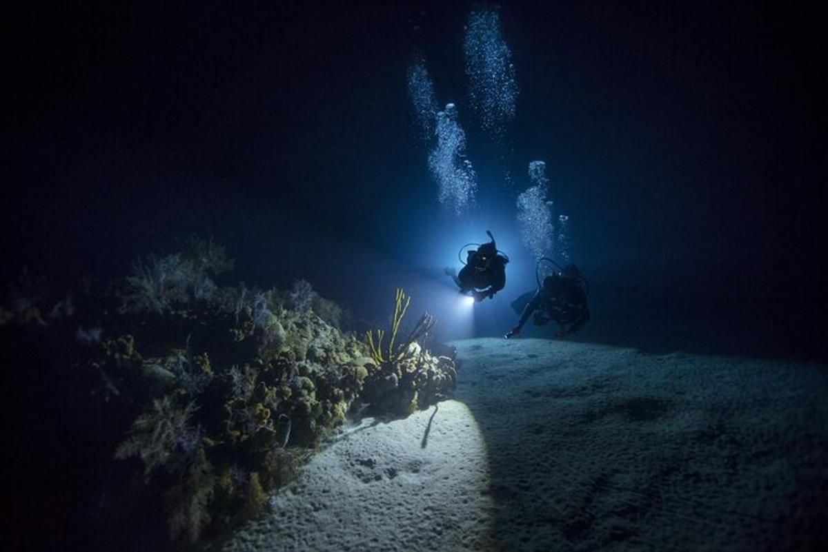 uma pessoa em uma scooter no oceano à noite