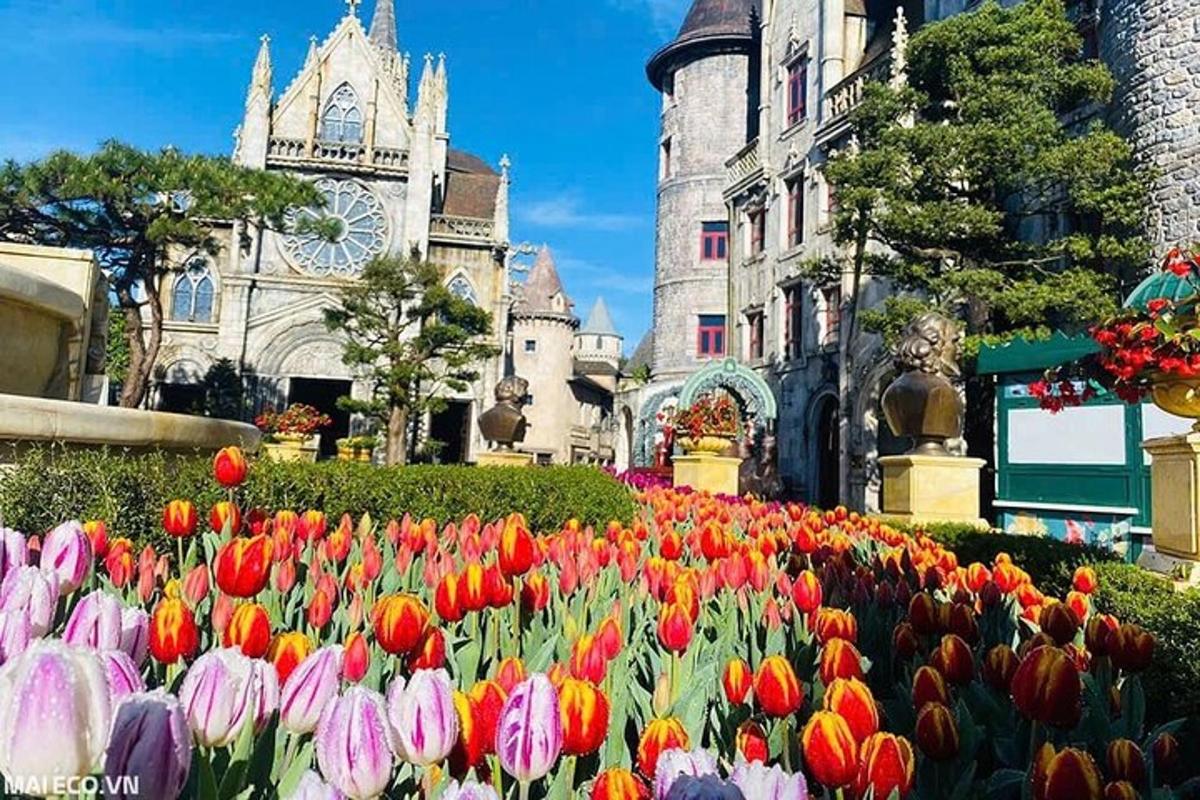 zahrada barevných tulipánů před budovou