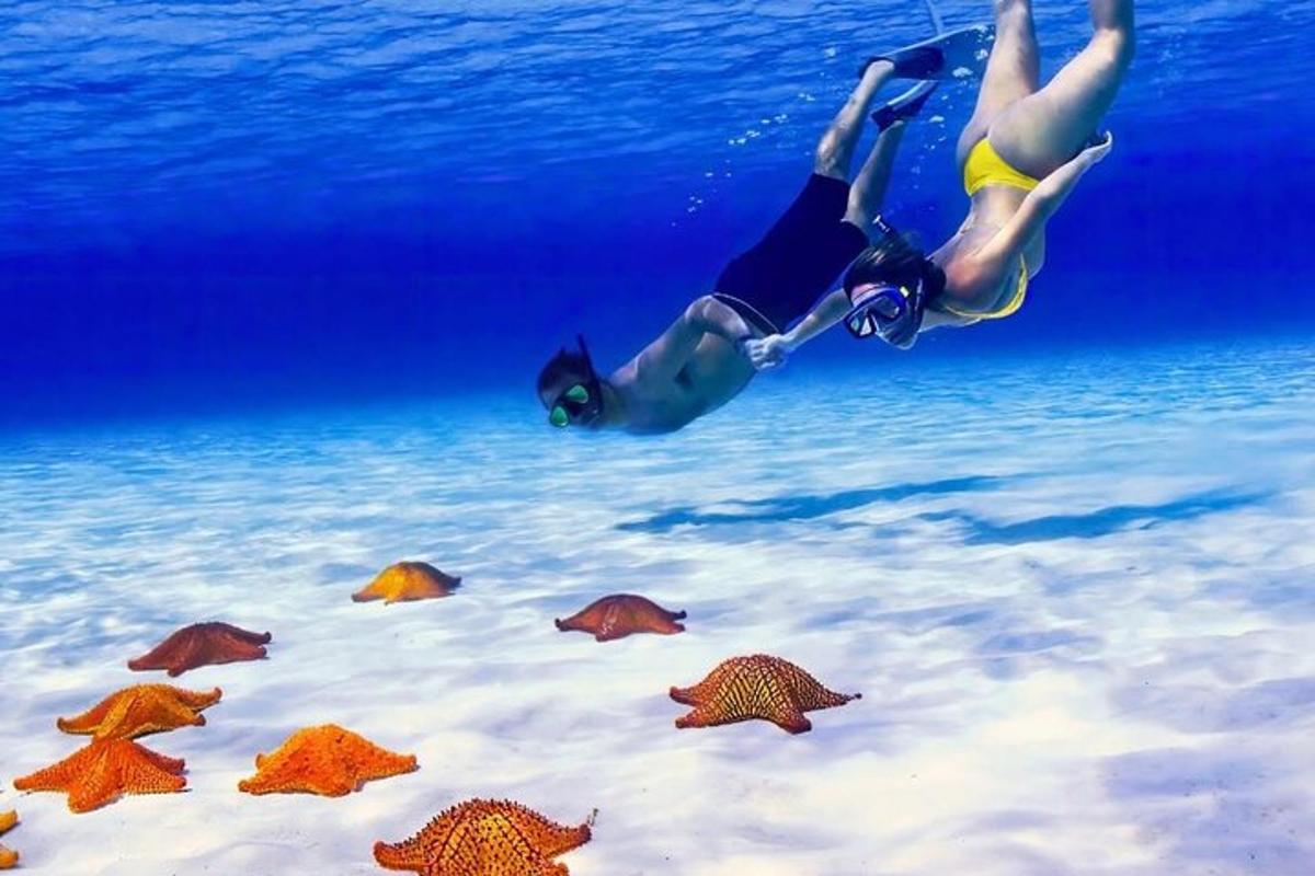 una persona nedant a l'oceà amb estrelles de mar