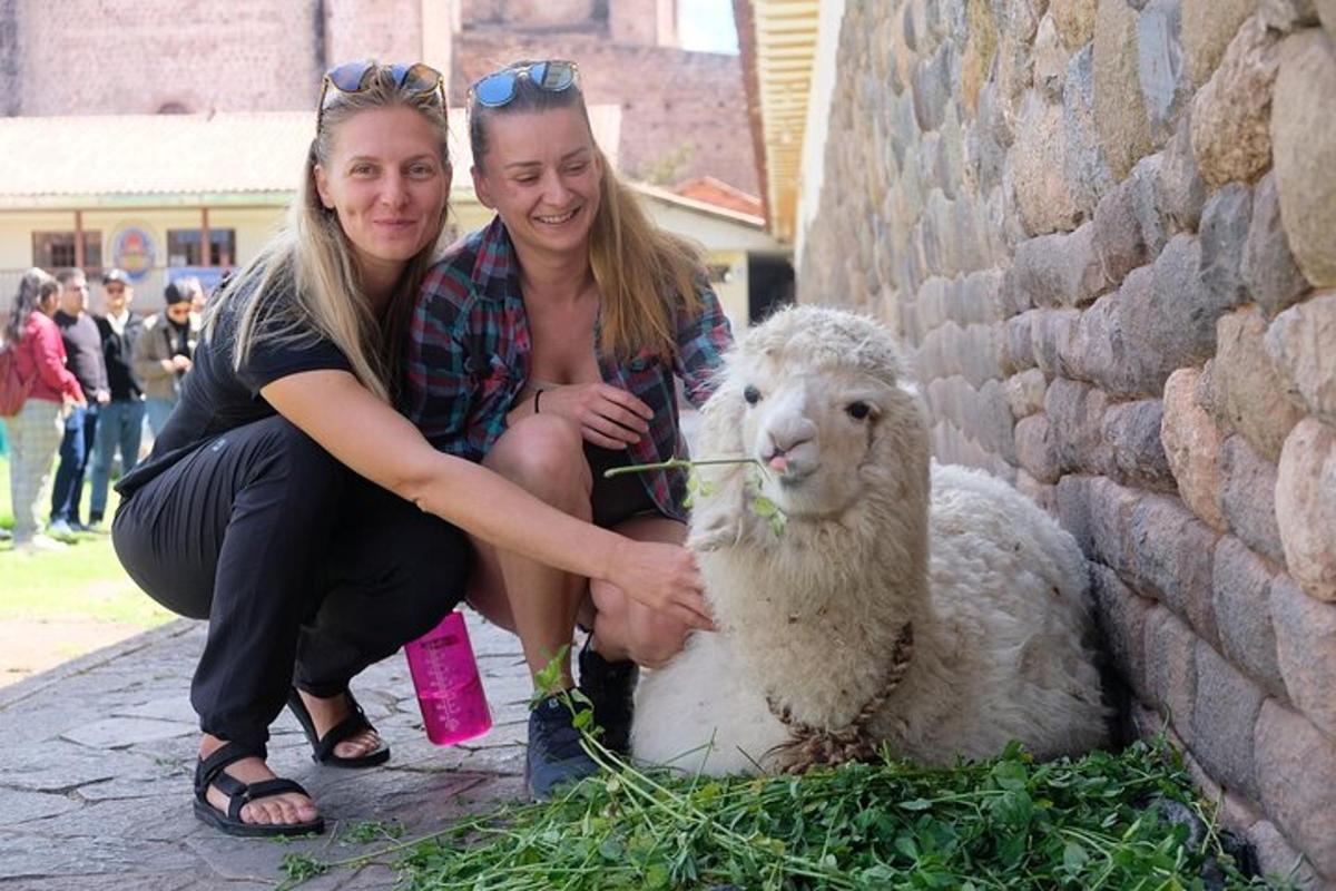 to kvinner kneler ved siden av en sau