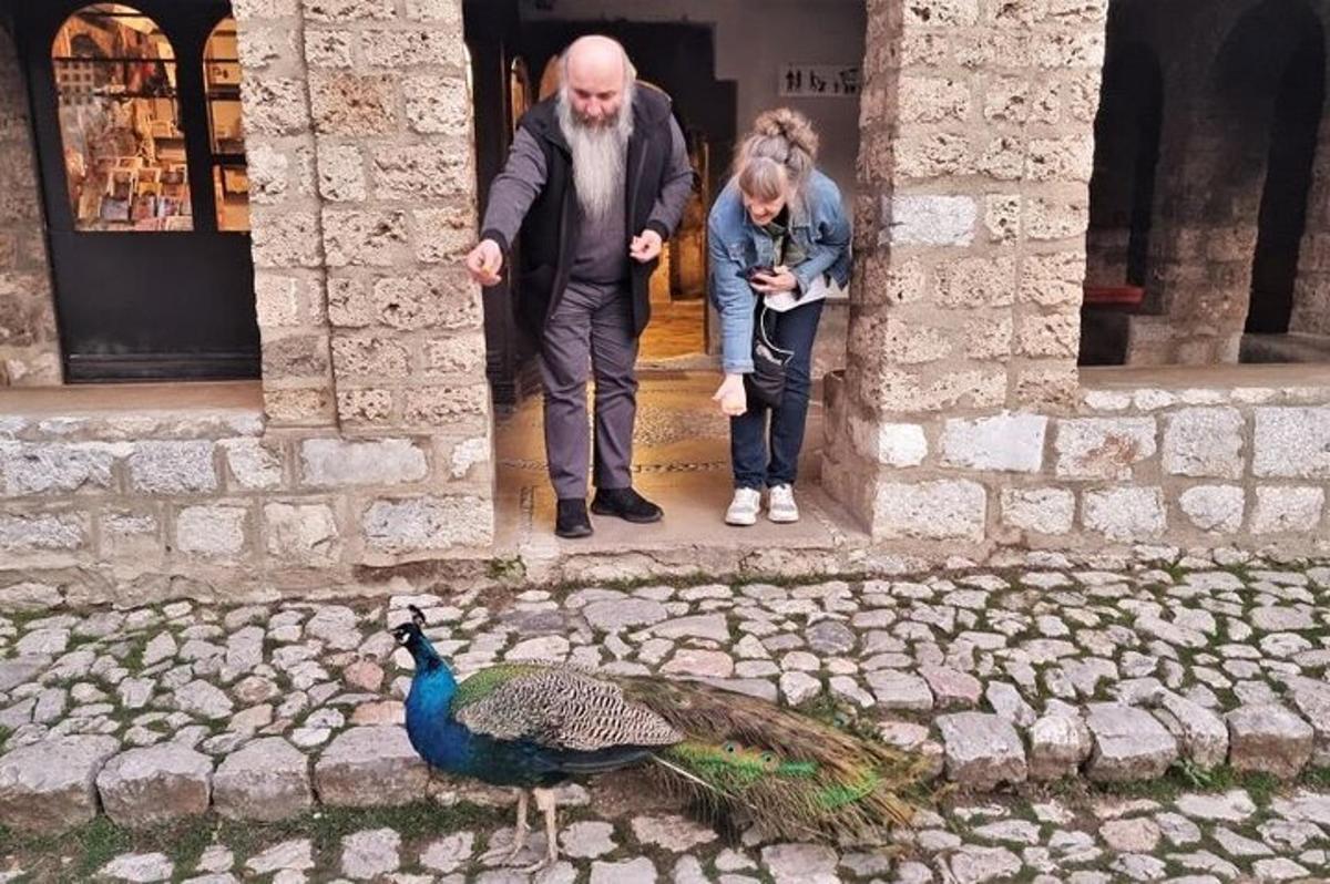 Turistik nokta fotoğrafı 7