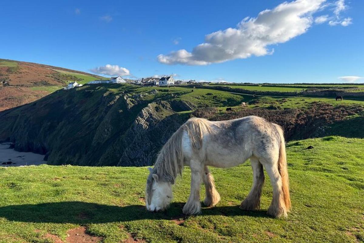 Ljósmynd af afþreyingu 1