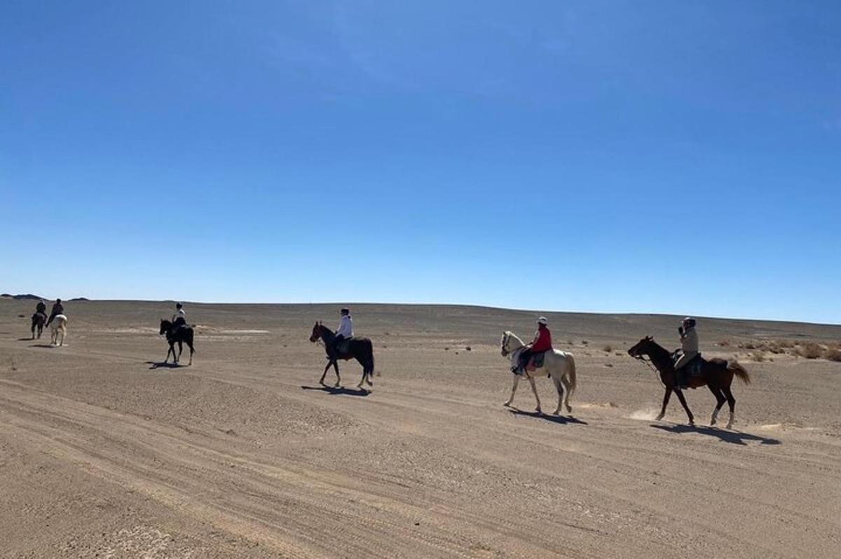 a group of people riding horses on the beach