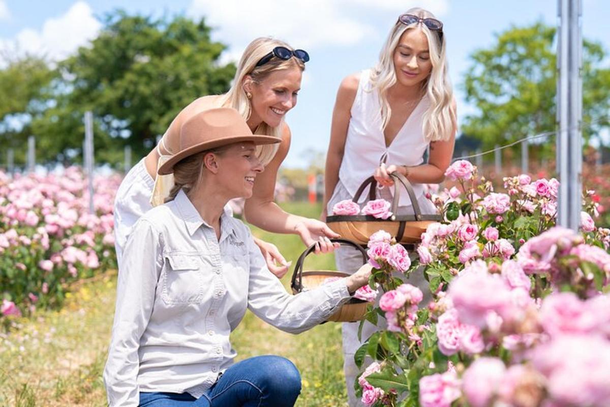 three women looking at flowers in a garden