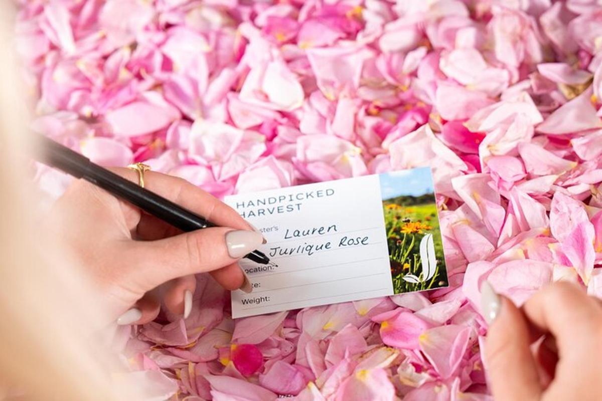 una persona che scrive su un pezzo di carta su fiori rosa