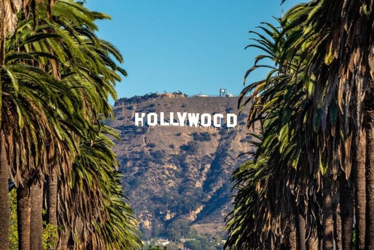 ein Blick auf das Hollywood-Schild zwischen Palmen