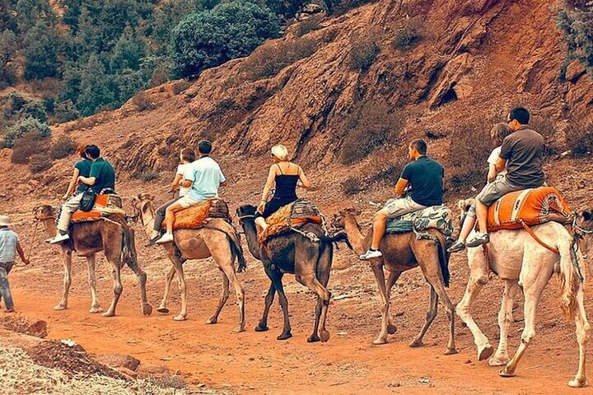 Un grupo de personas montando a caballo en una montaña.