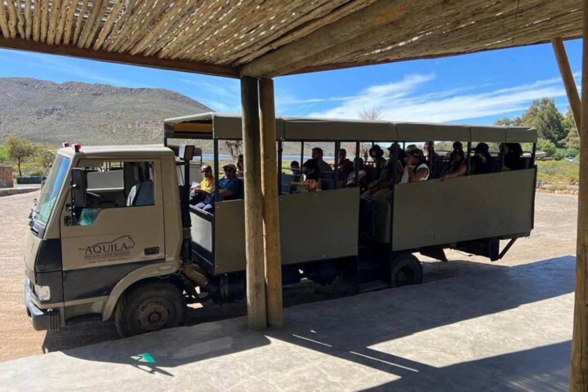 grupa ljudi koja se vozi u safari autobusu