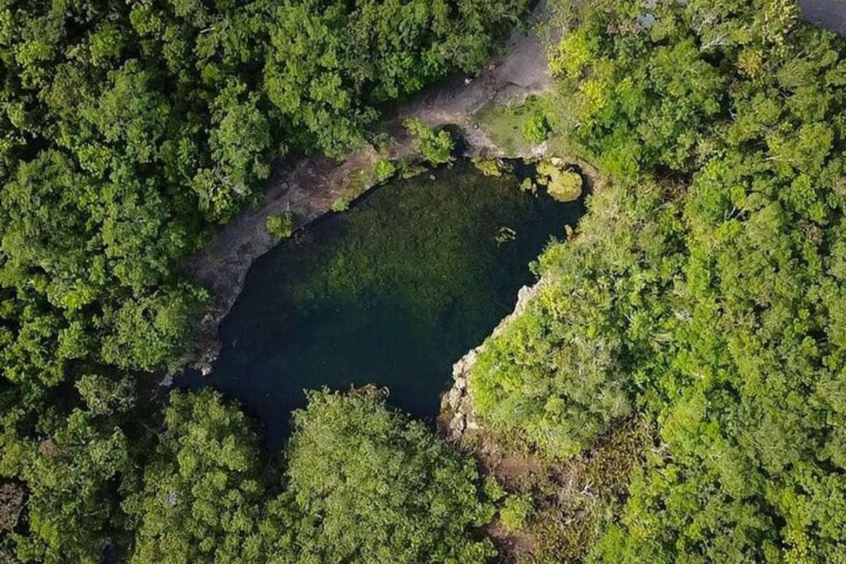 uma vista aérea de um lago em uma floresta