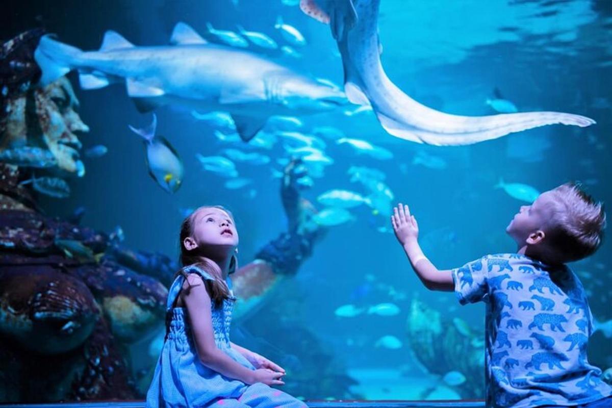 Attraction picture 3