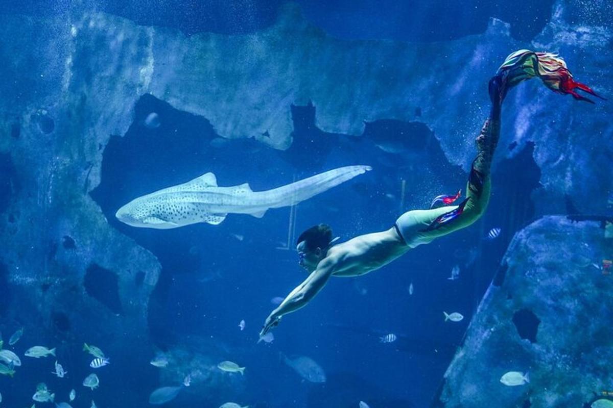 Attraction picture 5