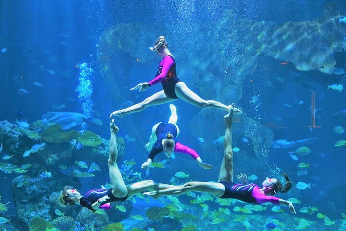 Attraction picture 7