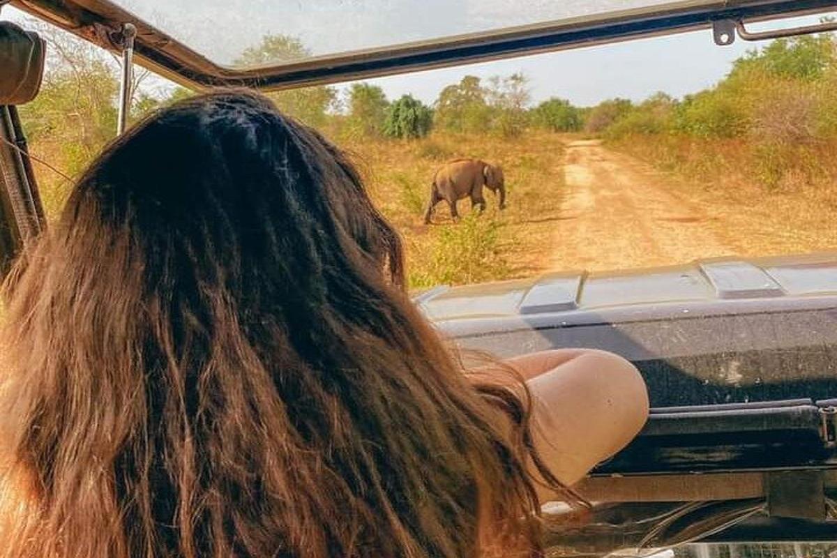 Fotografia da atração 2