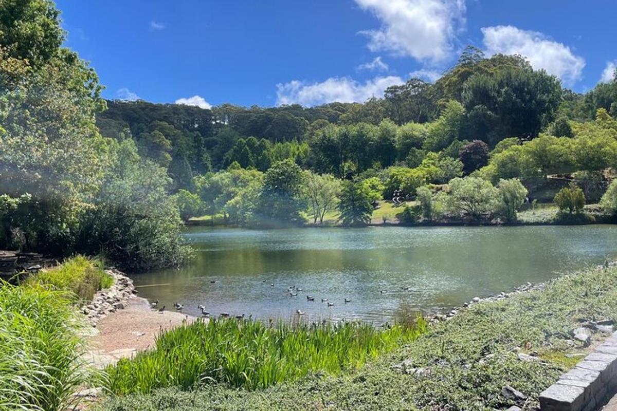 a lake with ducks swimming in the water