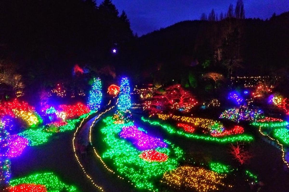 una mostra di luci natalizie in un parco di notte