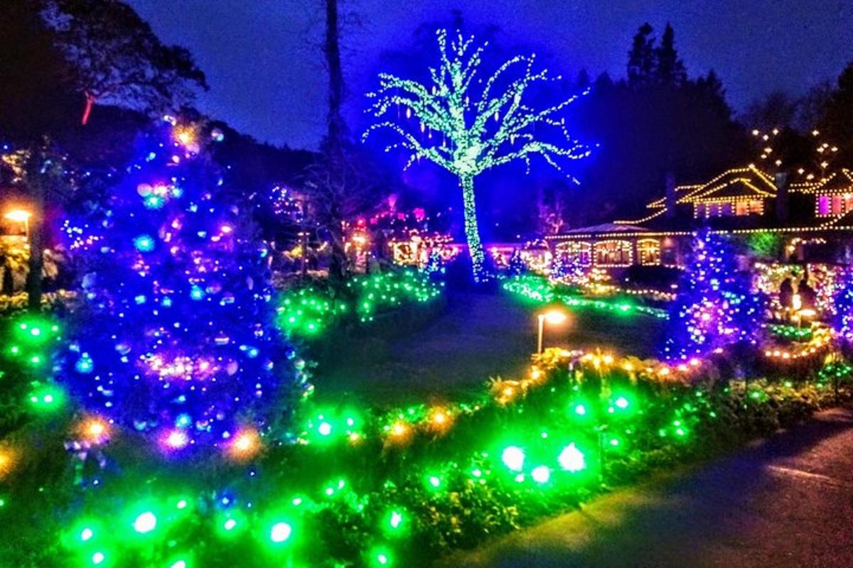 a christmas yard with christmas lights and a tree