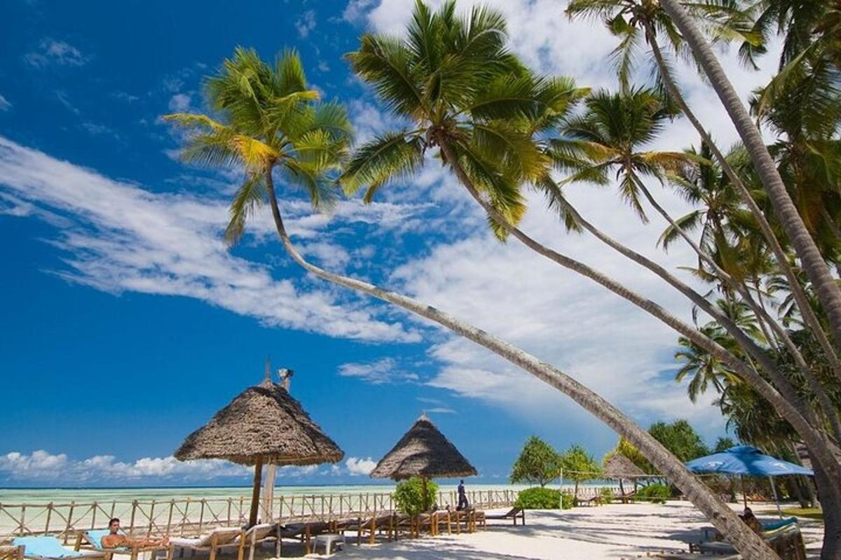 sekumpulan pokok palma di pantai dengan lautan