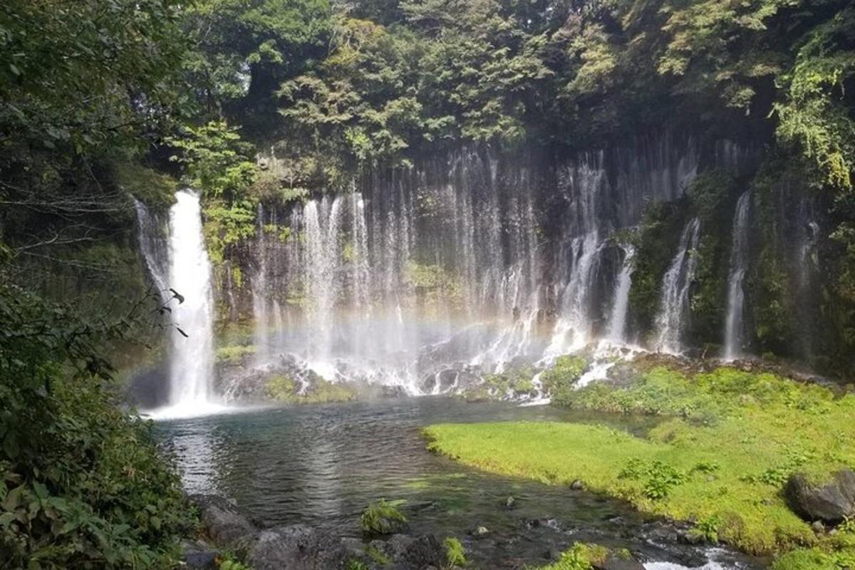 Fotografia da atração 6